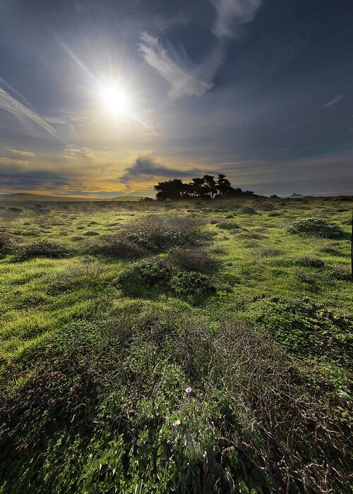  Greeting Card featuring the photograph San Simeon #4 by Lars Mikkelsen