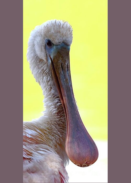 Spoonbill Greeting Card featuring the digital art Spoonbill #4 by Tammy Keyes