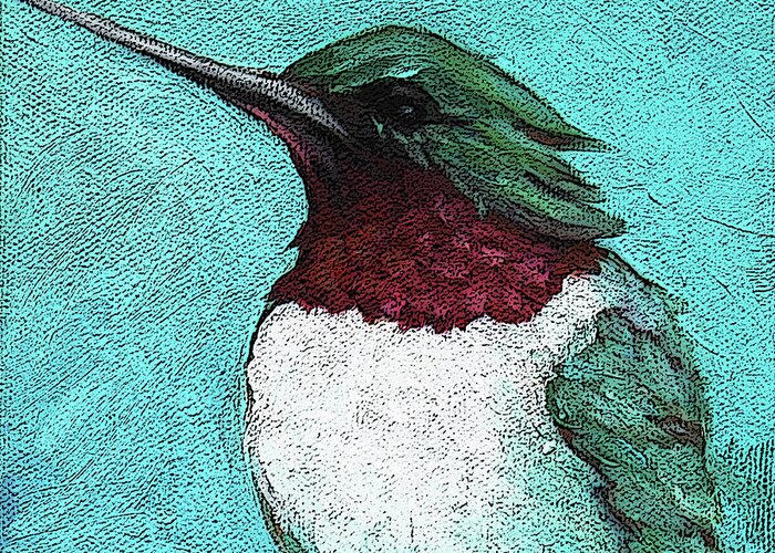 Bird Greeting Card featuring the painting 5 Humming Bird by Victoria Page