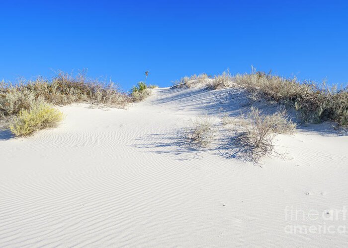 Chihuahuan Desert Greeting Card featuring the photograph White Sands Gypsum Dunes #5 by Raul Rodriguez