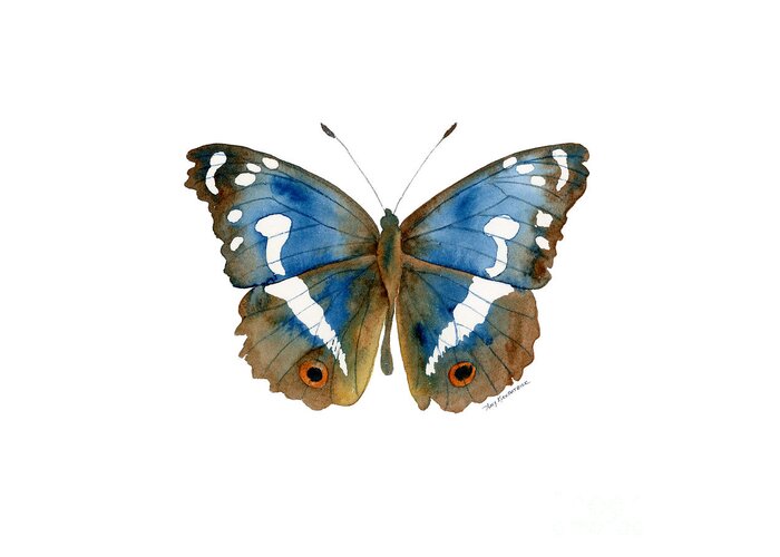 Apatura Iris Greeting Card featuring the painting 78 Apatura Iris Butterfly by Amy Kirkpatrick