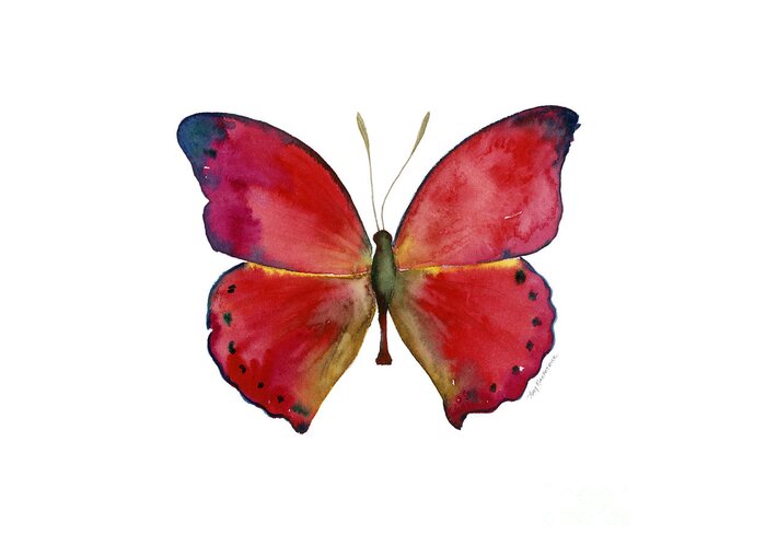 Red Butterfly Greeting Card featuring the painting 83 Red Glider Butterfly by Amy Kirkpatrick