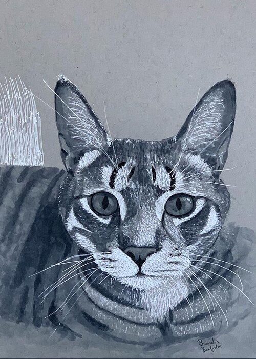 Feral Greeting Card featuring the drawing A Feral Cat Called Mano by Brenda Bonfield