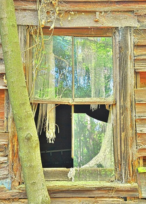 A Look Into The Past Vertical Greeting Card featuring the photograph A Look Into The Past Vertical by Lisa Wooten