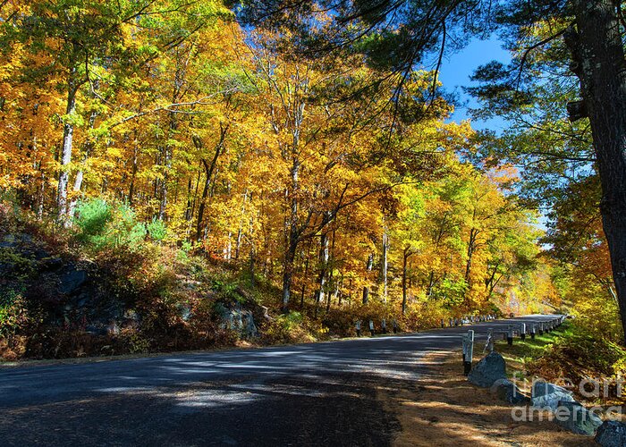 Wayne Moran Photography Greeting Card featuring the photograph A Lovely Autumn Hike Quabbin Reserve Western Massachusetts by Wayne Moran