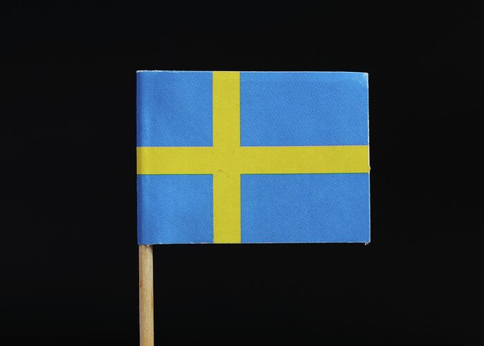 Kingdom Of Sweden Greeting Card featuring the photograph Flag of Sweden by Vaclav Sonnek