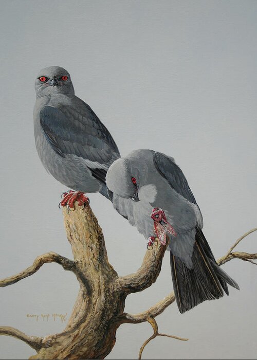 Barry Kent Mackay Greeting Card featuring the painting A Pair of Mississippi Kites by Barry Kent MacKay