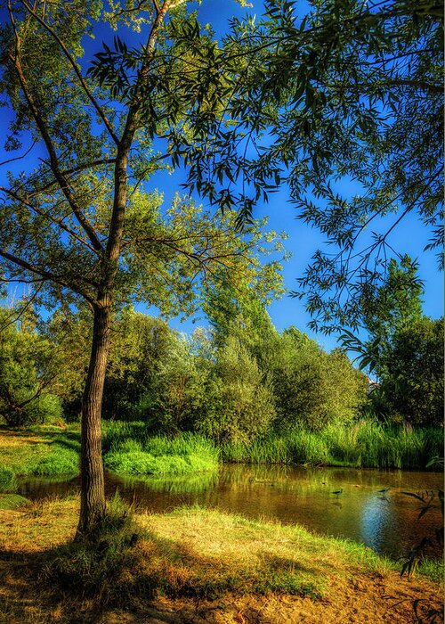 By The River Greeting Card featuring the photograph A peaceful spot 1 by Micah Offman