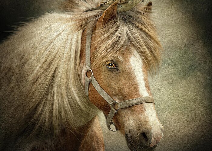 Icelandic Horse Greeting Card featuring the digital art A Place to Hide by Maggy Pease