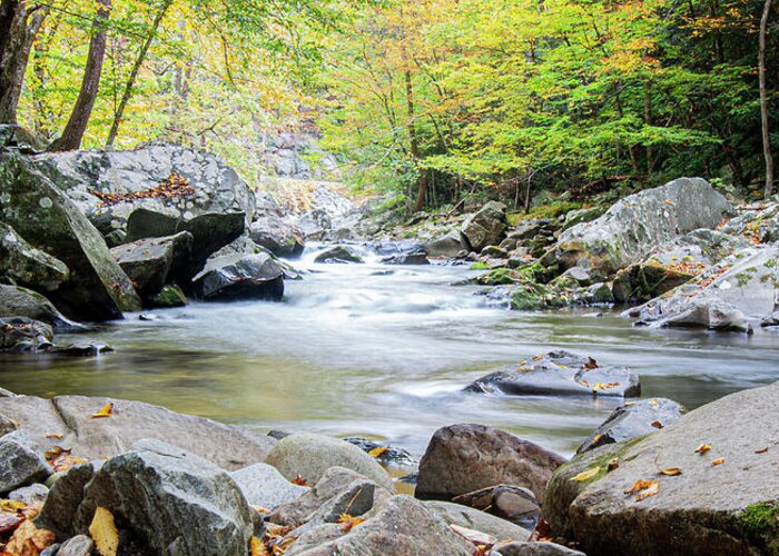 Mountain Stream Greeting Card featuring the photograph A Rocky Mountain Stream in the Great Smokey Mountains by Bob Decker