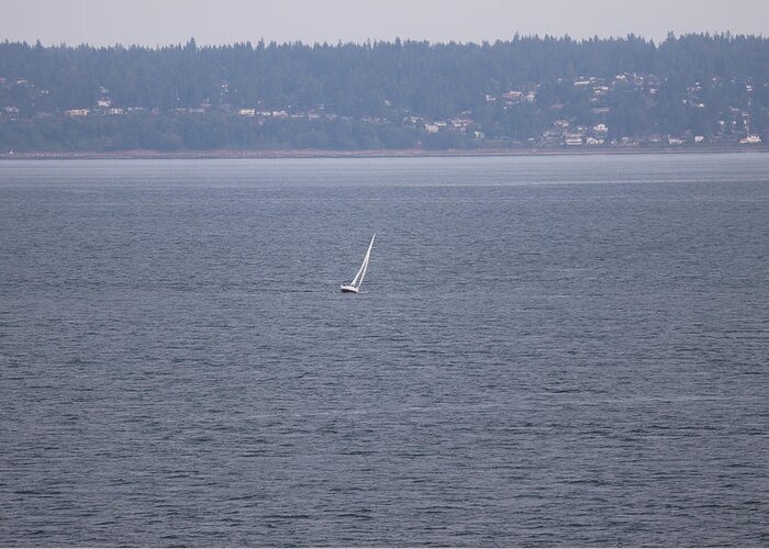 Puget Sound Greeting Card featuring the photograph A Sailboat Leaning Right by Ed Williams