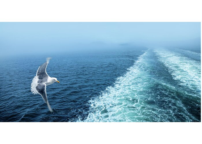 Aqua Greeting Card featuring the photograph A seagull chasing a ferry by Manpreet Sokhi