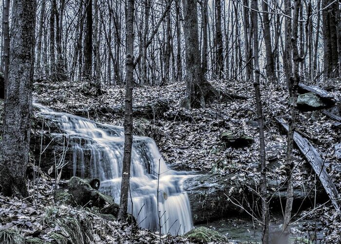  Greeting Card featuring the photograph A Secret Falls in the Fall by Brad Nellis