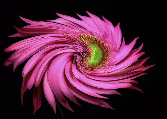 Pink Greeting Card featuring the photograph A Splash Of Gerbera Pink by Bill and Linda Tiepelman