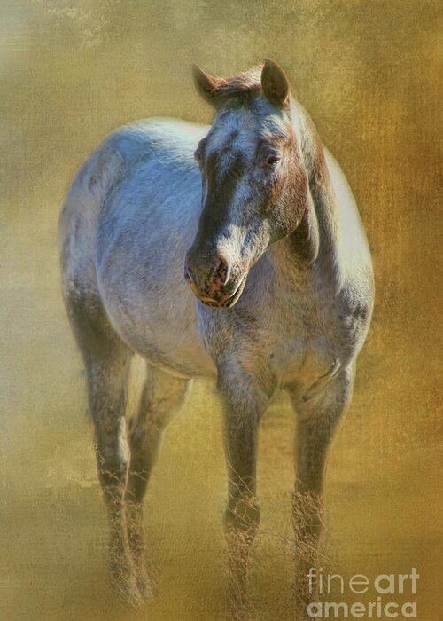 Horse Greeting Card featuring the digital art A Texas Horse by Joan Bertucci