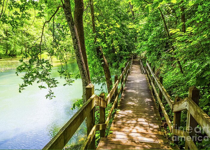 Ozarks Greeting Card featuring the photograph A Tranquil Hike by Jennifer White