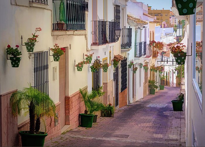 Andalusian City Greeting Card featuring the photograph A visit to the city of Estepona - 7 by Jordi Carrio Jamila