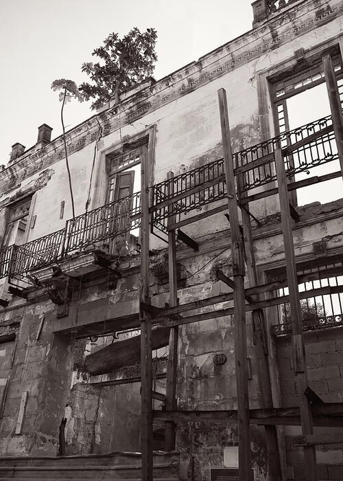 Cuba Greeting Card featuring the photograph Abandoned Havana Building by M Kathleen Warren