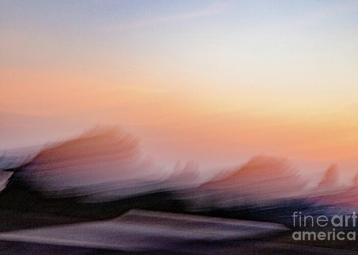 Netherlands Greeting Card featuring the photograph Abstract morning due by Casper Cammeraat