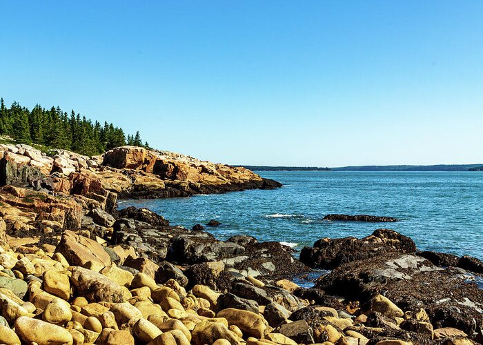 Acadia Greeting Card featuring the photograph Acadia National Park Coast by Amelia Pearn
