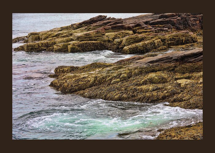 Maine Greeting Card featuring the photograph Acadia NP Coastline 1 by Allen Beatty