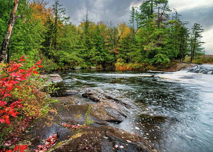 Fall Greeting Card featuring the photograph Adirondacks Autumn at Bog River Falls 2 by Ron Long Ltd Photography