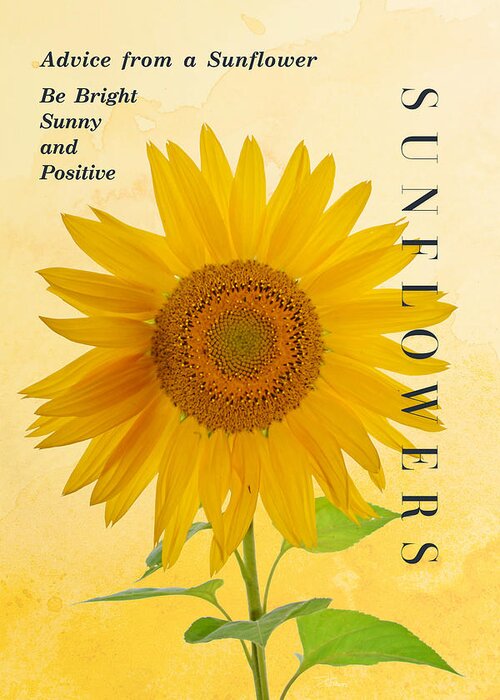 Sunflower Greeting Card featuring the photograph Advice from a Sunflower by Ingrid Zagers