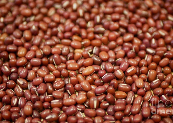 Adzuki beans plant azuki red mung bean pulses nutrition, superfood. Himalayas is popular Asia shop store, food, paste cuisine raw Vigna angularis, eaten raw bio organic Greeting Card