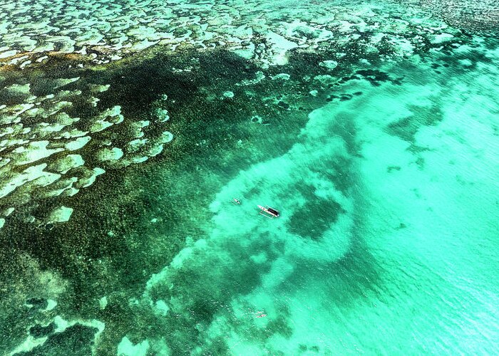 Aerial Greeting Card featuring the photograph Aerial Summer - Seagreen Coral Reef by Philippe HUGONNARD