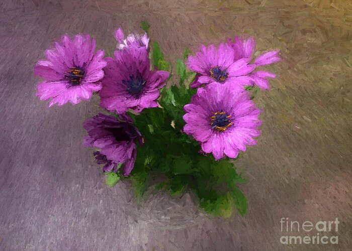 African Daisy Greeting Card featuring the photograph African Daisies - Osteospermum by Yvonne Johnstone