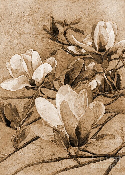Magnolia Greeting Card featuring the painting After a Fresh Rain in sepia tone by Hailey E Herrera