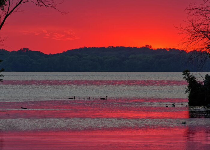 Lake Greeting Card featuring the photograph After Sunset on Lake Waubesa at Babcock park by Peter Herman