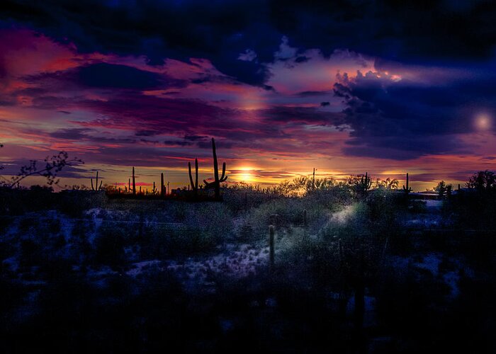 Tucson Greeting Card featuring the photograph After the monsoon by Micah Offman