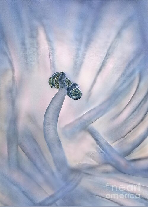 Figure Character Agapanthus Blue Flower Stamen Pestle Macro Creative Associative Impressions Impressionistic Contemporary Beautiful Delightful Elegant Elegance Expressive Stylish Inspirational Charming Charm Aesthetic Attractive Thoughtful Meaningful Conceptual Quirky Eccentric Provocative Weird Bizarre Evocative Fantasy Still-life Peculiar Abstract Appealing Singular Abstracted Single Lonely Loneliness Solo Solitary Simplicity Delicate Gentle Pastel Personification Impersonation Watercolor Greeting Card featuring the digital art Abstract macro picture of agapanthus pestle as a mystical figure by Tatiana Bogracheva
