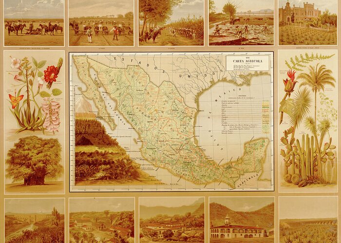 Mexico Greeting Card featuring the drawing Agricultural Map of Mexico by Vintage Maps