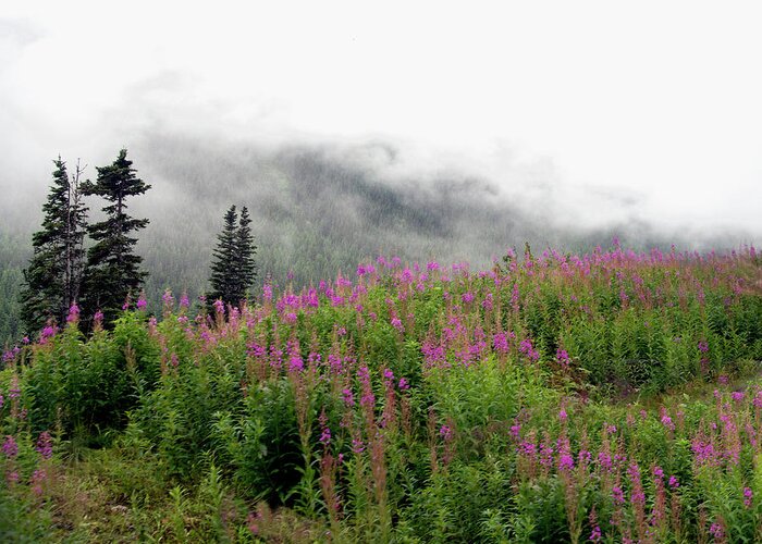 Alaska Greeting Card featuring the photograph Alaska Mountain Wildflowers by Karen Zuk Rosenblatt