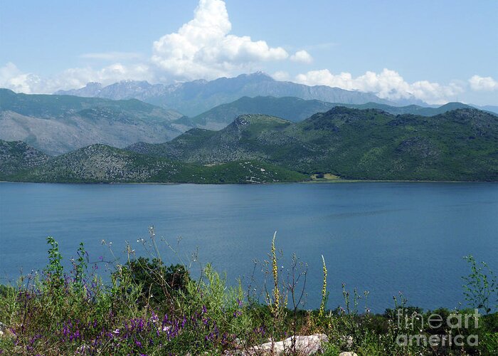 Skadar Greeting Card featuring the photograph Albania from Lake Skadar - Montenegro by Phil Banks