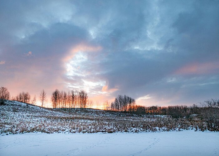 Winter Greeting Card featuring the photograph Alberta winter dawn by Karen Rispin