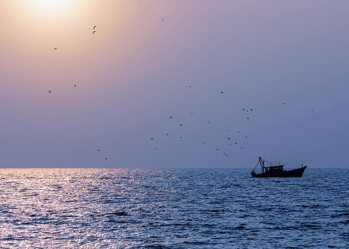 Arabian Sea Greeting Card featuring the photograph All in a Day's Work by Manpreet Sokhi