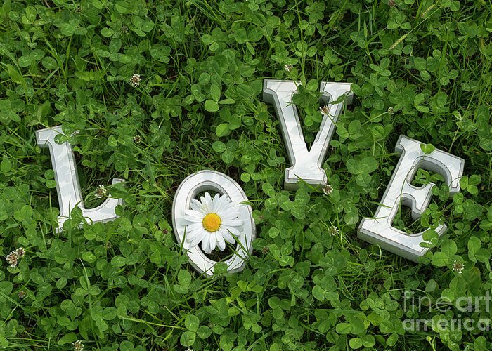 Love Greeting Card featuring the photograph All You Need is Love by Tim Gainey