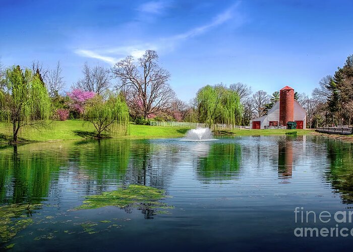 Allandale Greeting Card featuring the photograph Allandale Lake in Spring by Shelia Hunt