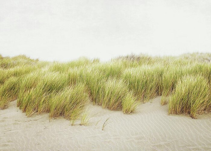 Sand Dunes Greeting Card featuring the photograph Along the Dunes by Lupen Grainne