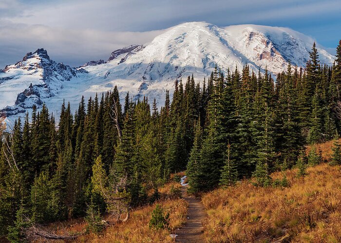 Mt Greeting Card featuring the photograph Along the Trail by Patrick Campbell