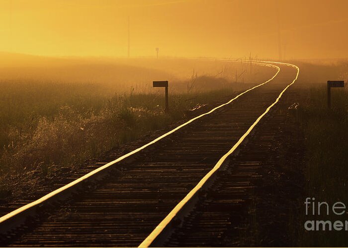 Rail Road Greeting Card featuring the photograph Amber Rails by Doug Sturgess