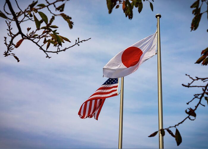 Hinomaru Greeting Card featuring the photograph American Japanese Flags 2 by Bill Chizek