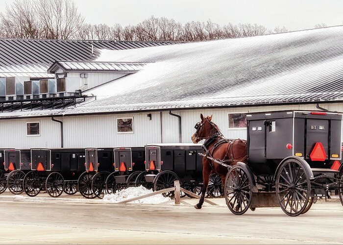 Buggies Greeting Card featuring the photograph Amish Buggy Parking by Susan Rissi Tregoning