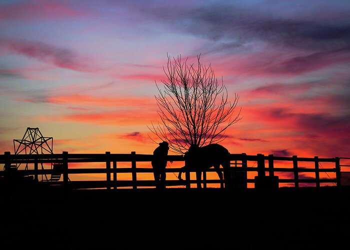 Sunset Greeting Card featuring the photograph Amishman and His Horse at Sunset by Tana Reiff