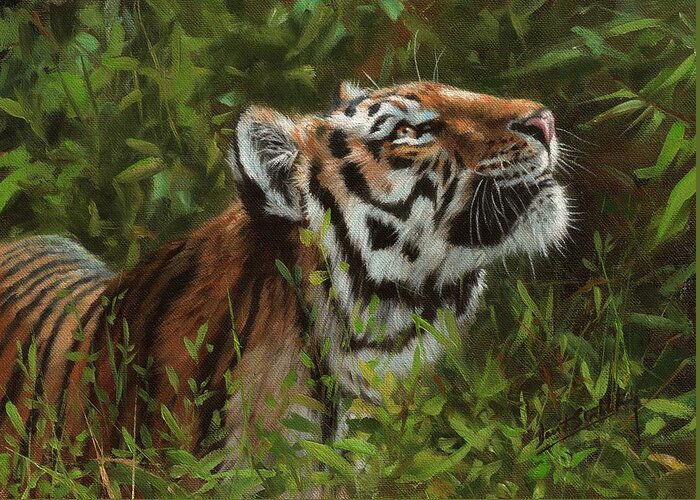 Tiger Greeting Card featuring the painting Amur Tiger 111 by David Stribbling