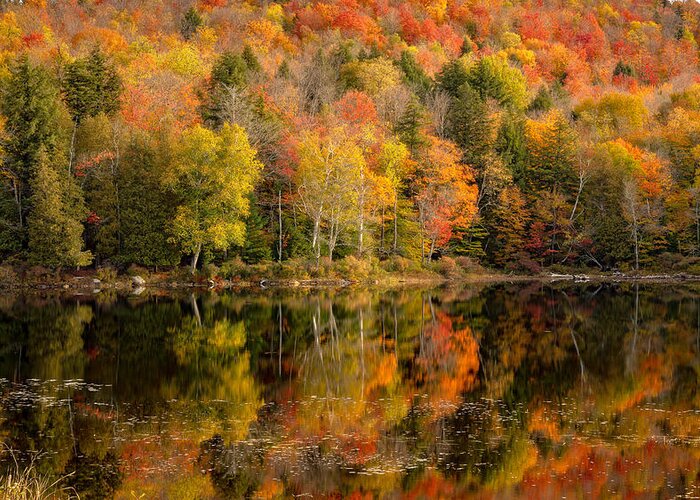 Adk Greeting Card featuring the photograph An Adirondack Autumn by Rod Best