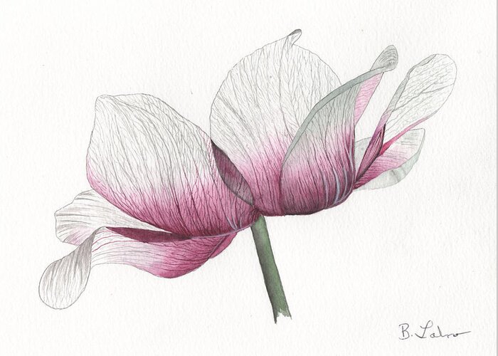 Anemone Greeting Card featuring the painting Anemone by Bob Labno